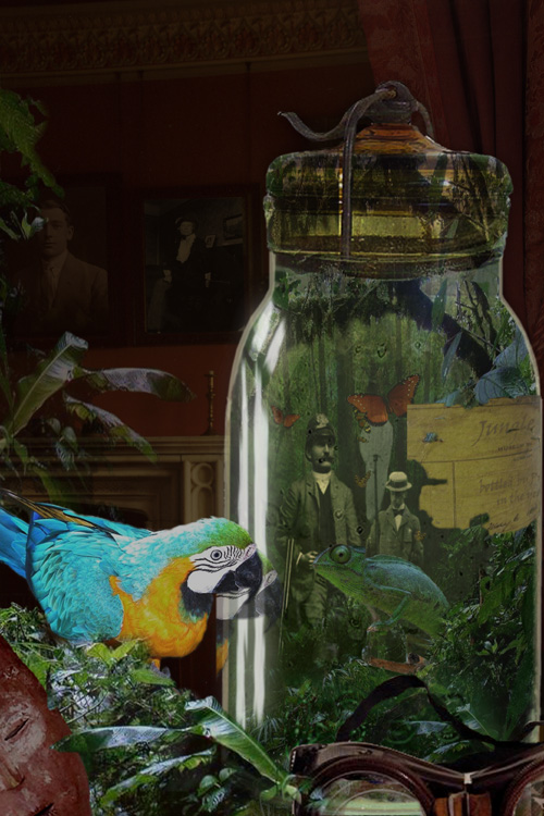 Jungle In A Bottle